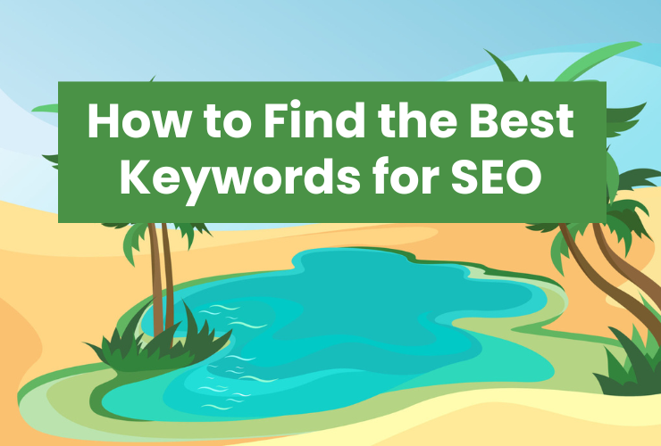 how to find the best keywords for seo. illustration of oasis.