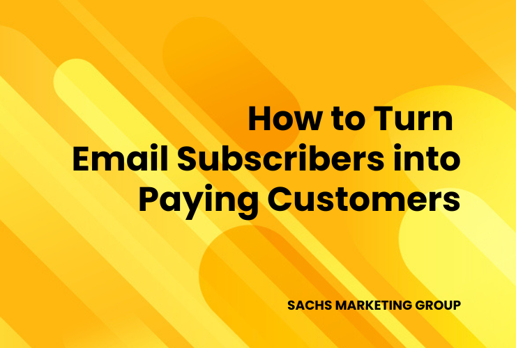 illustration with text: "How to Turn Email Subscribers into Paying Customers"