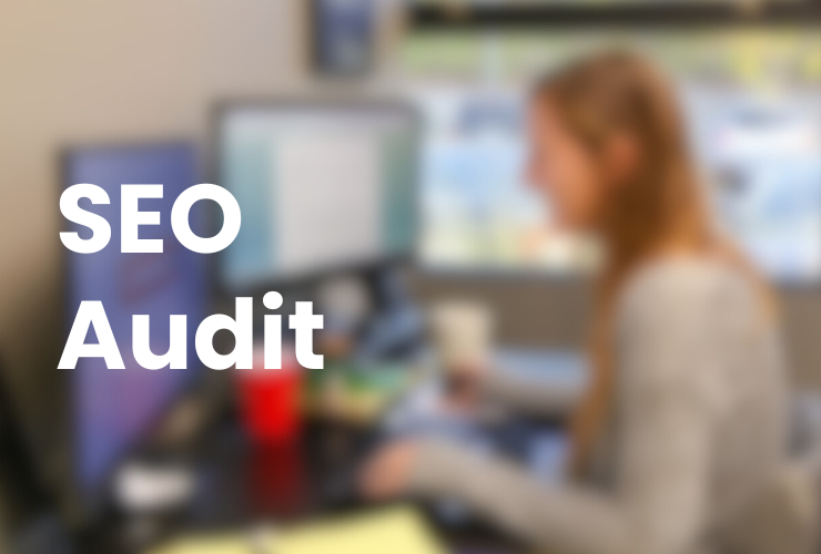 seo audit company los angeles