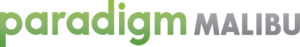 paradigm_logo_300dpi
